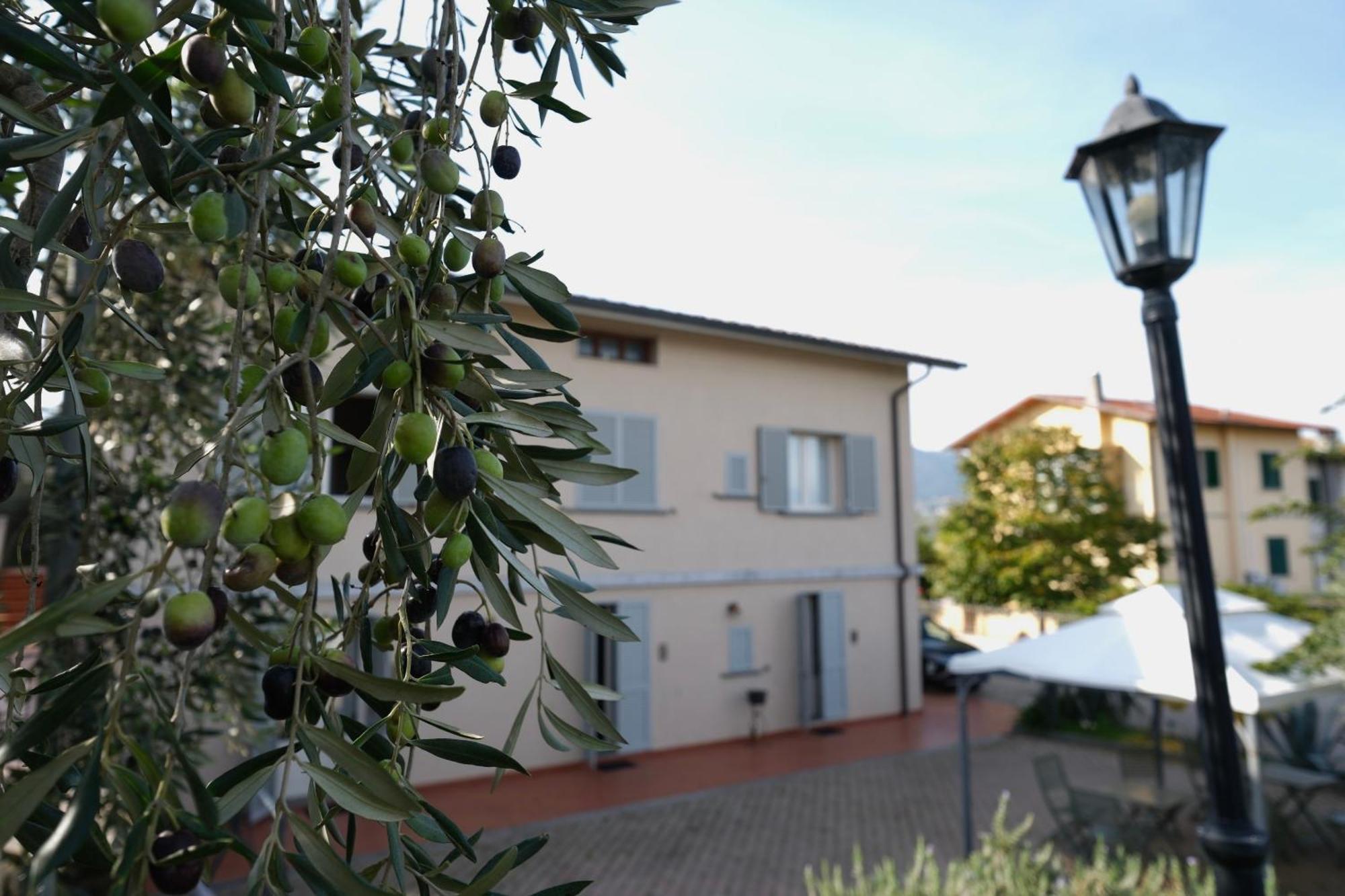 B&B Orsobigio Quarrata Esterno foto