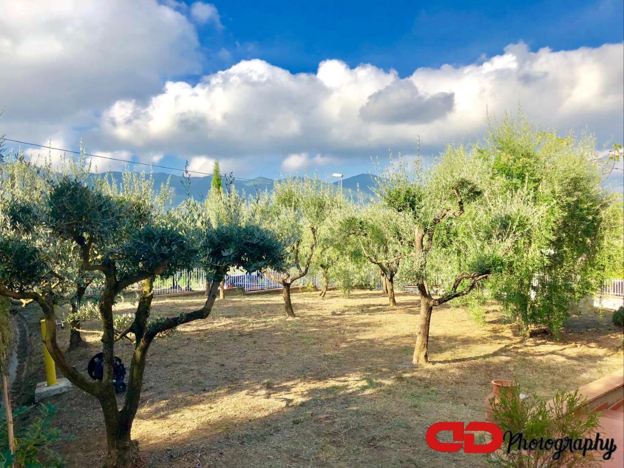 B&B Orsobigio Quarrata Esterno foto